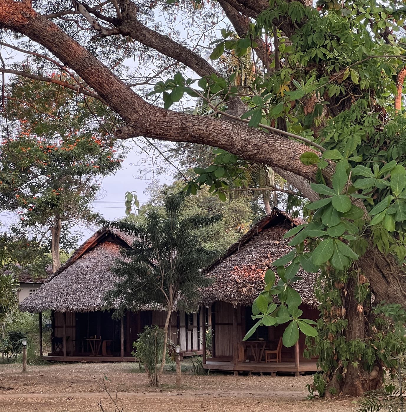 Andilana Lodge - Hotel italiano Andilana Beach Nosy-Be Madagascar - bungalow indipendenti